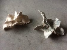 Losse les beeldhouwen-boetseren