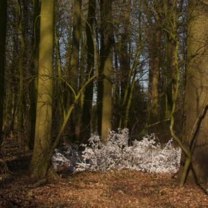 Akademieklas op zaterdagmiddag