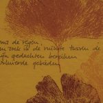 Ginkgo - Afbeelding 5