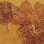 Ginkgo - Afbeelding 2