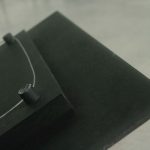 Ginkgo - Afbeelding 3